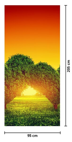 Fototapeta na drzwi - Serce w koronach drzew (95x205cm)