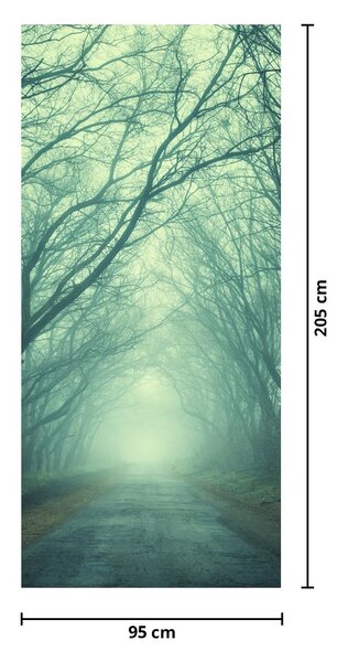 Fototapeta na drzwi - Ścieżka z alejek drzew (95x205cm)