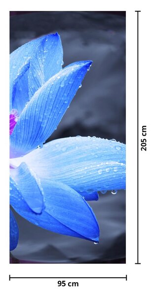 Fototapeta na drzwi - Kwiat w szczegółach (95x205cm)