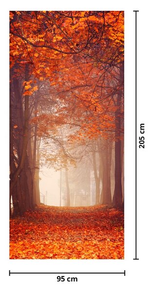 Fototapeta na drzwi - Jesienny las (95x205cm)