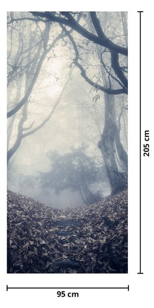 Fototapeta na drzwi - Las we mgle (95x205cm)
