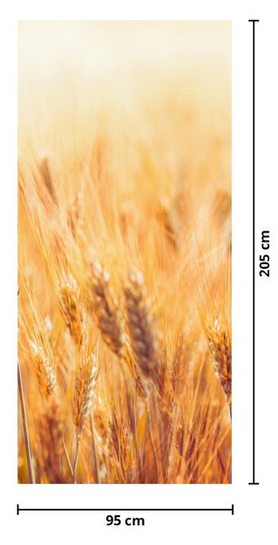 Fototapeta na drzwi - Pole ze zbożem (95x205cm)