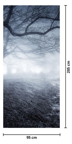 Fototapeta na drzwi - Ścieżka we mgle (95x205cm)