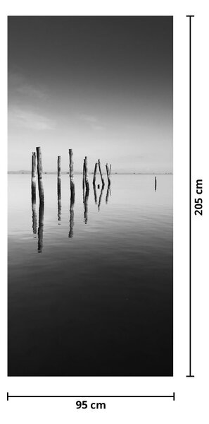 Fototapeta na drzwi - Czarno - biała powierzchnia wody (95x205cm)