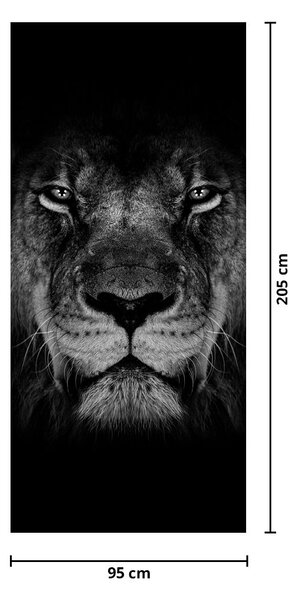 Fototapeta na drzwi - Lew i jego wysokość (95x205cm)