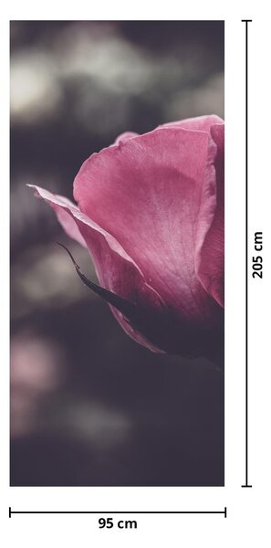 Fototapeta na drzwi - Detal kwiatu róży (95x205cm)