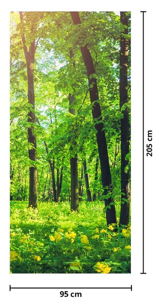 Fototapeta na drzwi - Wiosenny las liściasty (95x205cm)