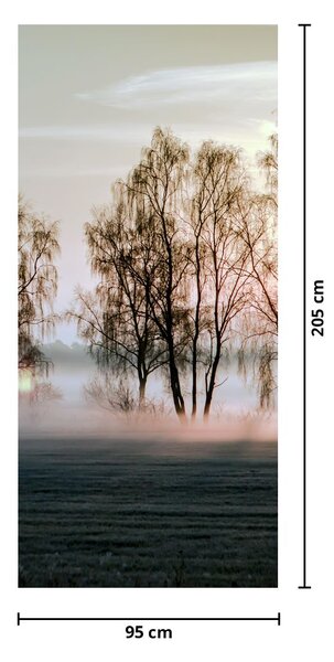 Fototapeta na drzwi - Poranna suchość (95x205cm)