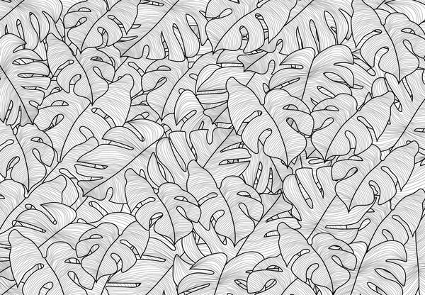 Fototapeta - Liście monstery (196x136 cm)
