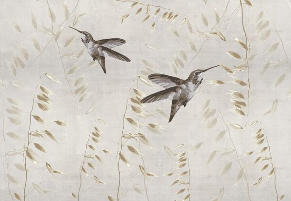 Fototapeta - Kolibry, wektor (196x136 cm)