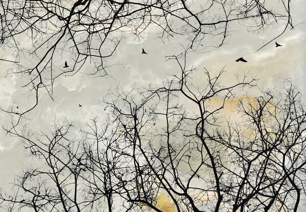 Fototapeta - Treetops (196x136 cm)
