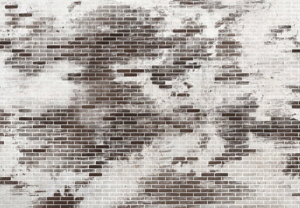 Fototapeta - Ceglany mur II. (196x136 cm)