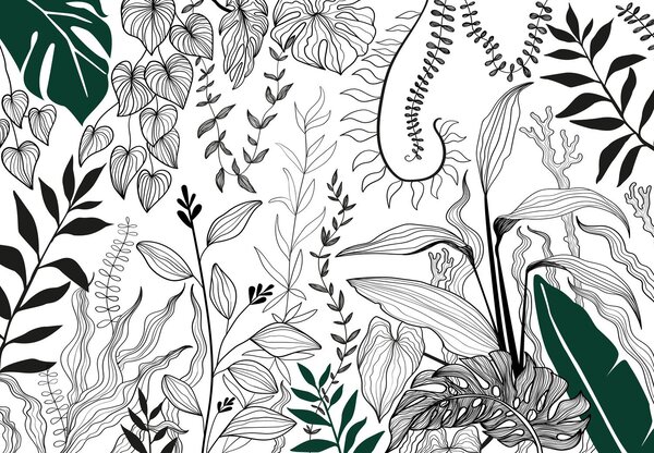 Fototapeta - Ogród botaniczny (196x136 cm)