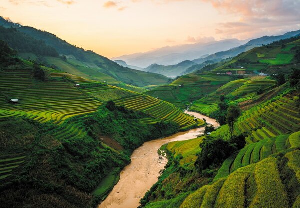 Fototapeta - Pole ryżowe Mu Cang Chai (196x136 cm)