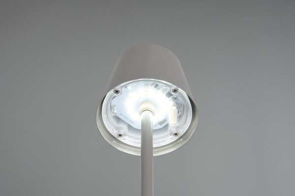 Szara lampa stołowa LED z metalowym kloszem (wysokość 21 cm) Diaz – Reality