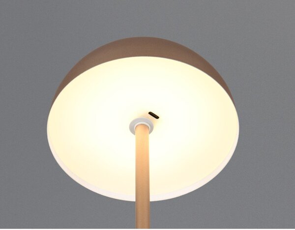 Lampa stołowa LED w kolorze brązu z metalowym kloszem (wysokość 21 cm) Munoz – Reality