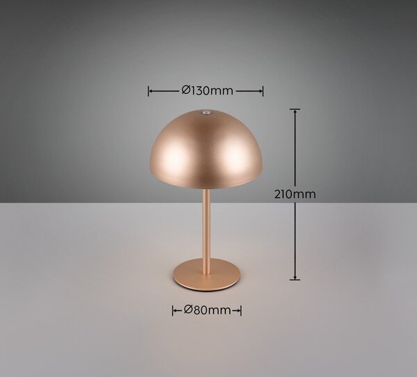 Lampa stołowa LED w kolorze brązu z metalowym kloszem (wysokość 21 cm) Munoz – Reality