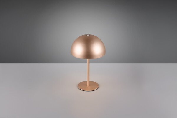 Lampa stołowa LED w kolorze brązu z metalowym kloszem (wysokość 21 cm) Munoz – Reality