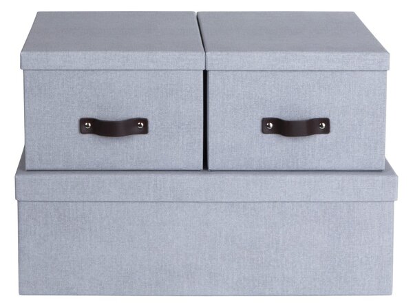 Jasnoszare kartonowe pojemniki z pokrywką zestaw 3 szt. 31x47x15 cm Inge – Bigso Box of Sweden
