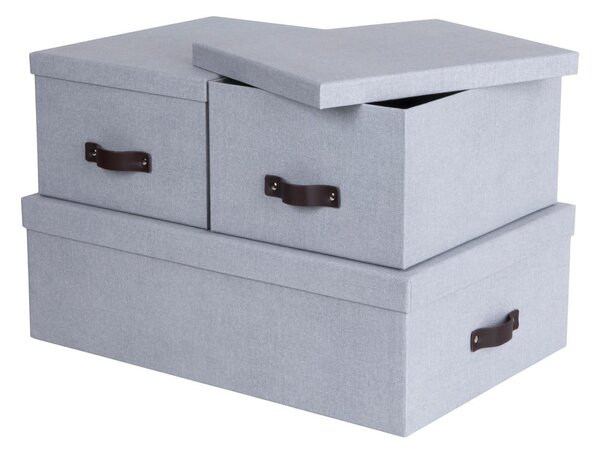 Jasnoszare kartonowe pojemniki z pokrywką zestaw 3 szt. 31x47x15 cm Inge – Bigso Box of Sweden
