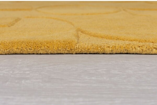 Żółty okrągły dywan wełniany ø 160 cm Gigi – Flair Rugs