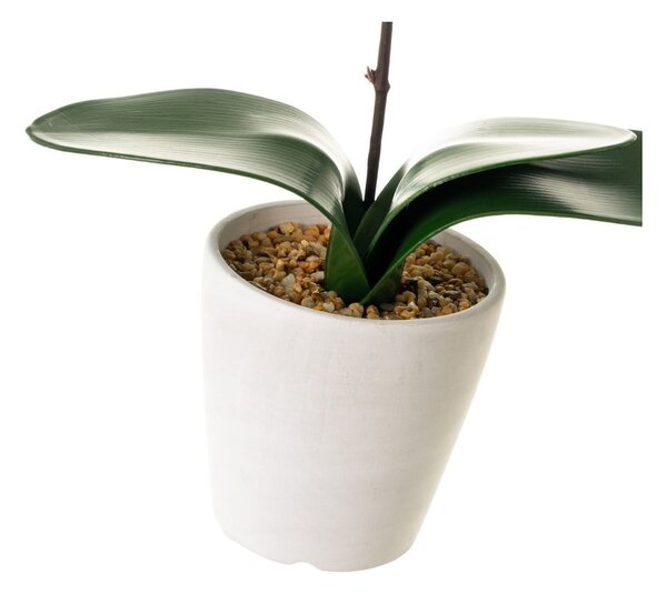 Sztuczna roślina (wysokość 45 cm) Orchid – Casa Selección