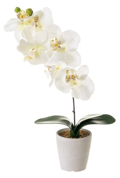 Sztuczna roślina (wysokość 45 cm) Orchid – Casa Selección