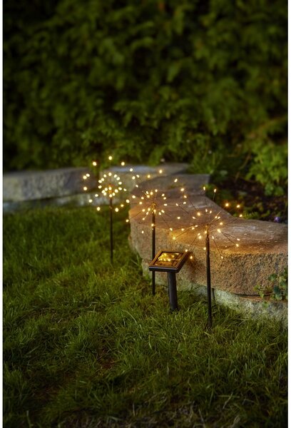 Zewnętrzne lampy solarne LED wbijane zestaw 3 szt. (wysokość 40 cm) Firework – Star Trading