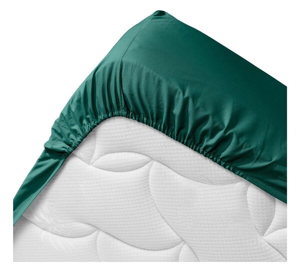 Zielone prześcieradło z bawełny organicznej z gumką 140x190 cm Biolina – douceur d'intérieur
