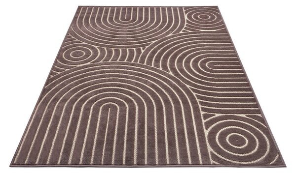 Brązowy dywan 160x235 cm Iconic Wave – Hanse Home