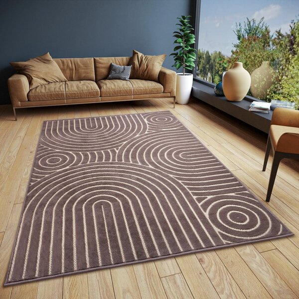 Brązowy dywan 160x235 cm Iconic Wave – Hanse Home
