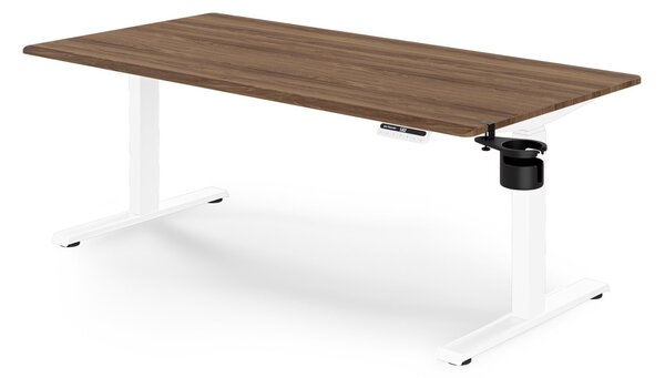Duże biurko sit-stand do pracy Aria 160×80 cm, orzech/biały