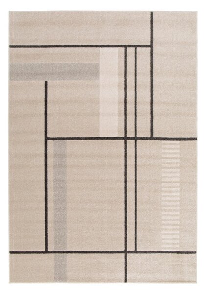 Beżowy dywan 120x170 cm Domus – Universal