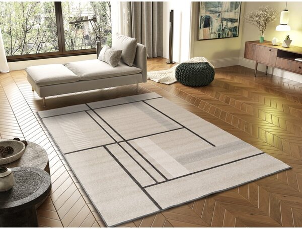 Beżowy dywan 120x170 cm Domus – Universal