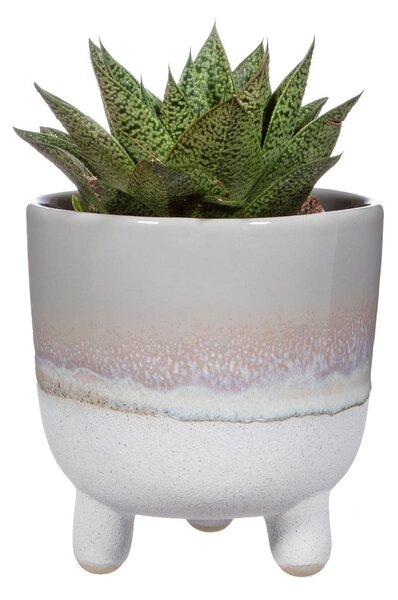 Szara doniczka Sass & Belle Bohemian Home Mojave, ø 11,7 cm