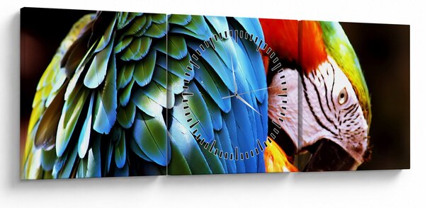 Obraz - Papuga (z zegarem) (90x30 cm)