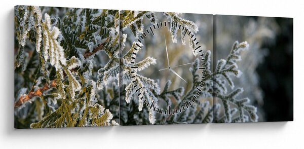 Obraz - Detal gałęzi (z zegarem) (90x30 cm)
