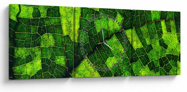 Obraz - Detal liścia (z zegarem) (90x30 cm)