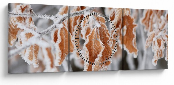 Obraz - Zamarznięte liście (z zegarem) (90x30 cm)