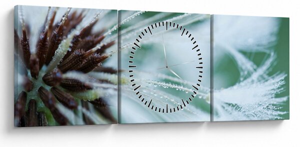 Obraz - Detal kwiatu (z zegarem) (90x30 cm)