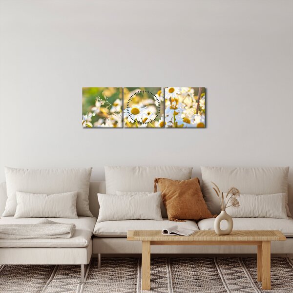 Obraz - Stokrotki (z zegarem) (90x30 cm)