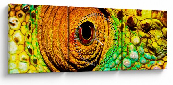 Obraz - Kameleon (z zegarem) (90x30 cm)