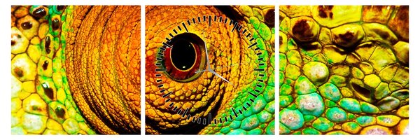 Obraz - Kameleon (z zegarem) (90x30 cm)