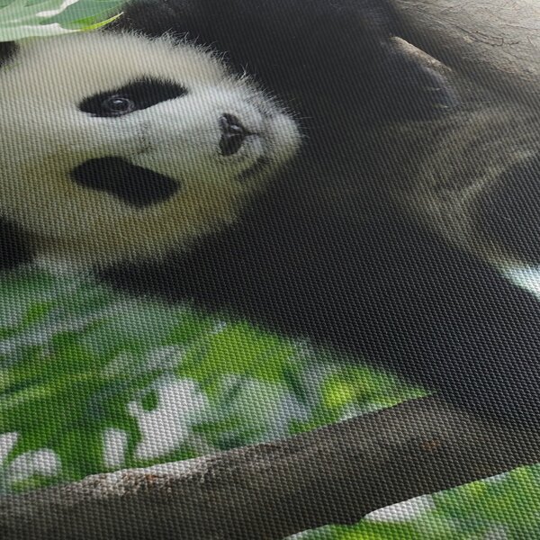 Obraz - Panda na drzewie (z zegarem) (90x30 cm)