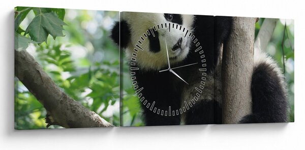 Obraz - Panda na drzewie (z zegarem) (90x30 cm)