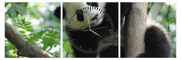 Obraz - Panda na drzewie (z zegarem) (90x30 cm)