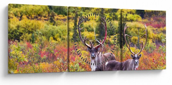 Obraz - Renifer tundrowy (z zegarem) (90x30 cm)