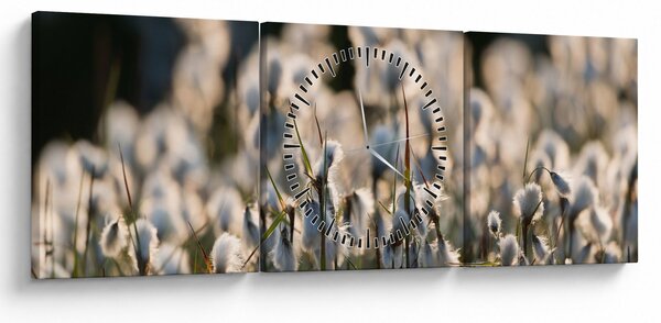 Obraz - Biała wełnianka (z zegarem) (90x30 cm)