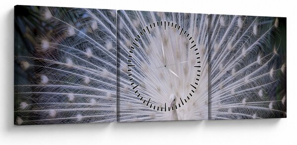 Obraz - Biały paw (z zegarem) (90x30 cm)