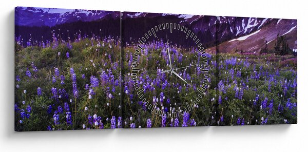 Obraz - Wulkan i kwiaty (z zegarem) (90x30 cm)